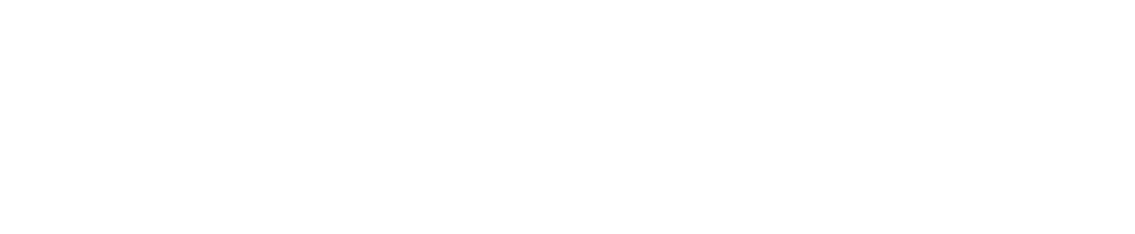 NewHorizons-Logo